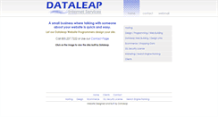 Desktop Screenshot of dataleap.com