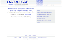 Tablet Screenshot of dataleap.com